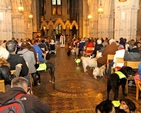 Dogs line the aisles of Christ Church Cathedral for the annual Peata Carol Service. 
