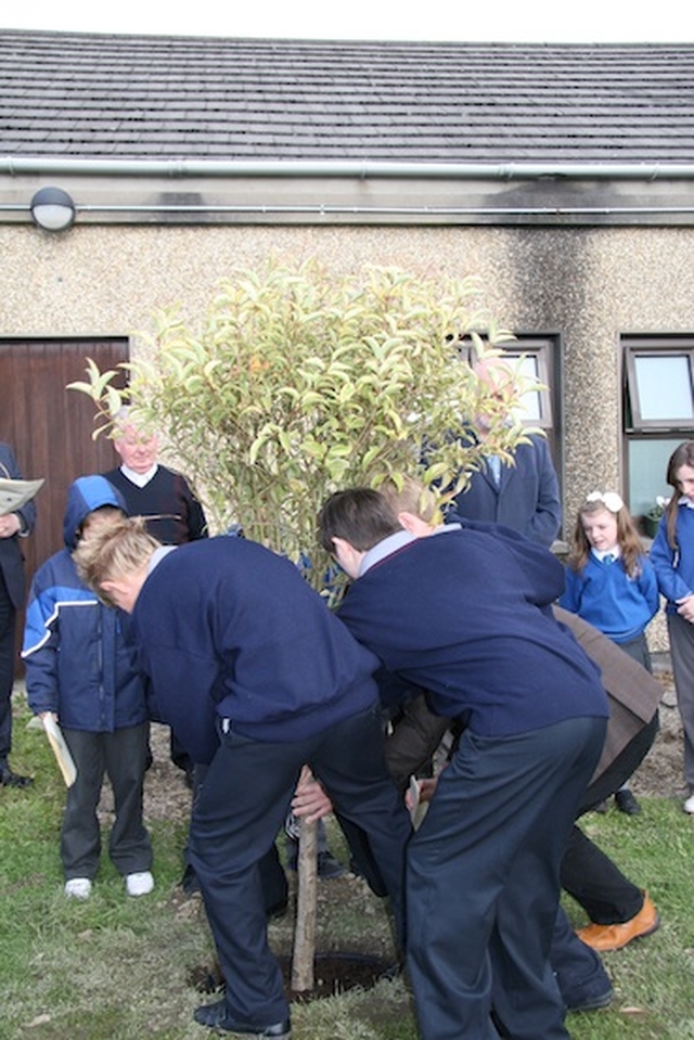 Students plant a tree at the ecumenical service at Mount Seskin Community College, Tallaght.