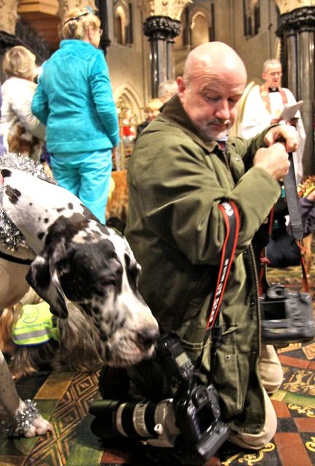 This dog was more interested in the photographer’s camera than the blessing during the Peata Carol Service in Christ Church Cathedral. 