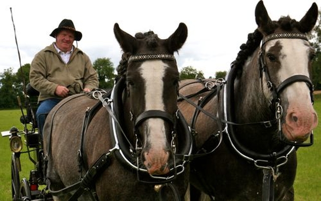 Thomas Pierce giving horse and carriage rides at Donoughmore Fete with horses Pheobe and Roxy. 