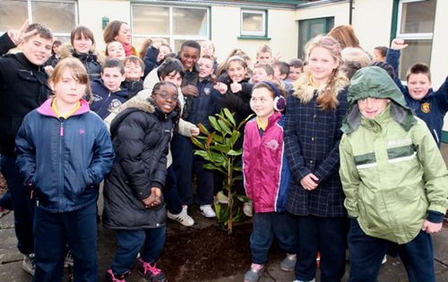 Senior pupils of St Maelruain’s Church of Ireland School in Tallaght with the tree that was planted by Archbishop Michael Jackson to celebrate the school’s 30th birthday. 