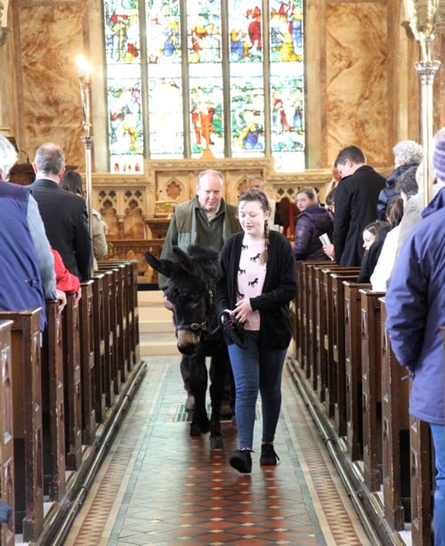 Sarah Flynn escorts Howard the donkey out of Nun’s Cross Church when he had completed his Palm Sunday duties in Wicklow and Killiskey. 