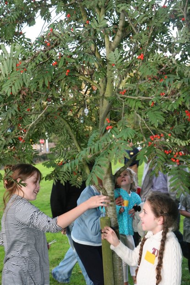 Pictured are members of the JAM Club in Straffan, Co Kildare picking the fruit of the lollypop tree at the club's launch.