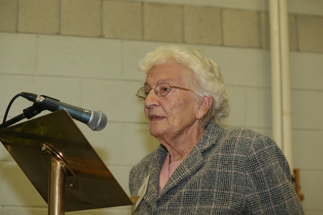 Vivienne Darling of Donnybrook Parish speaking at the Dublin and Glendalough Diocesan Synods.