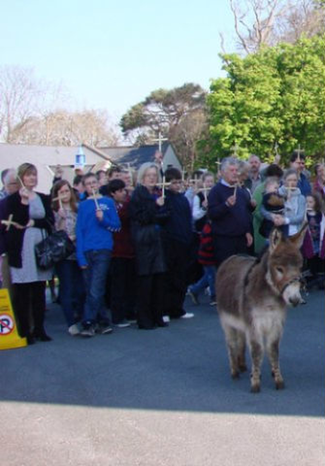Thistle the donkey prepares to walk to the church.