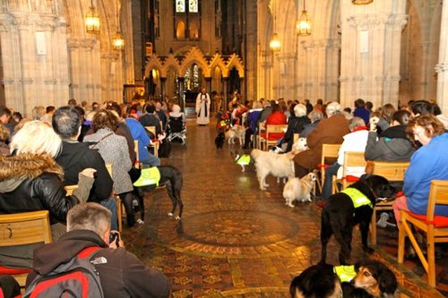 Dogs line the aisles of Christ Church Cathedral for the annual Peata Carol Service. 