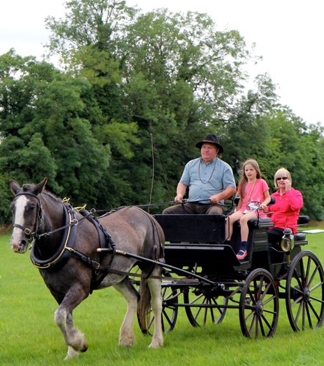 Thomas Pierce and horse, Phoebe, gave carriage rides throughout the afternoon at Donoughmore Fete and Sports Day. 