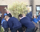 Students plant a tree at the ecumenical service at Mount Seskin Community College, Tallaght.