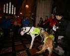 Dogs and masters at the Peata Service in Christ Church Cathedral.