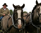 Thomas Pierce giving horse and carriage rides at Donoughmore Fete with horses Pheobe and Roxy. 