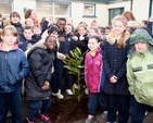 Senior pupils of St Maelruain’s Church of Ireland School in Tallaght with the tree that was planted by Archbishop Michael Jackson to celebrate the school’s 30th birthday. 