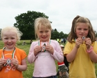 Gold, silver and bronze at the West Glendalough schools sports day in Donaghmore, Co Wicklow.