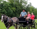 Thomas Pierce and horse, Phoebe, gave carriage rides throughout the afternoon at Donoughmore Fete and Sports Day. 