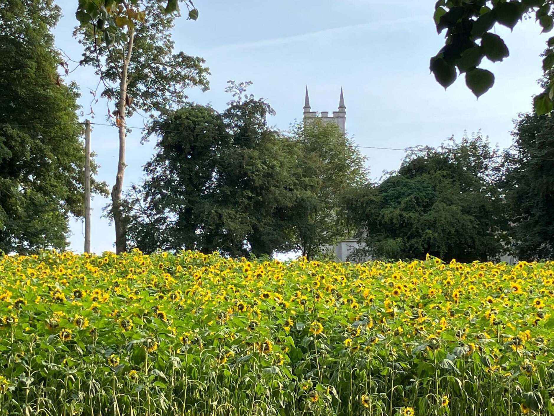 Peace with Creation – European Church Leaders Promote Season of Creation -  September 1 – October 4