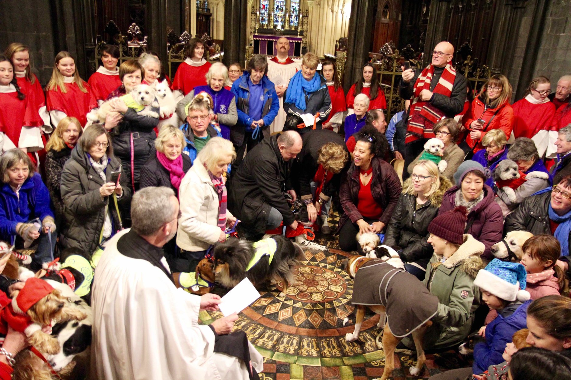 Peata Therapy Dog Carol Service