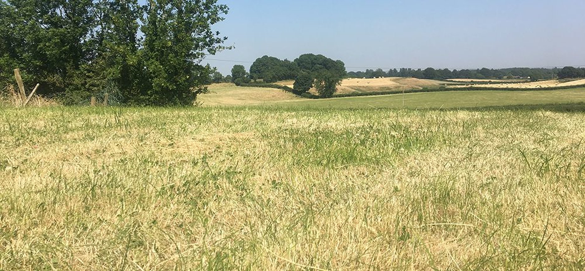 Prayer for the Farming Community at a Time of Drought