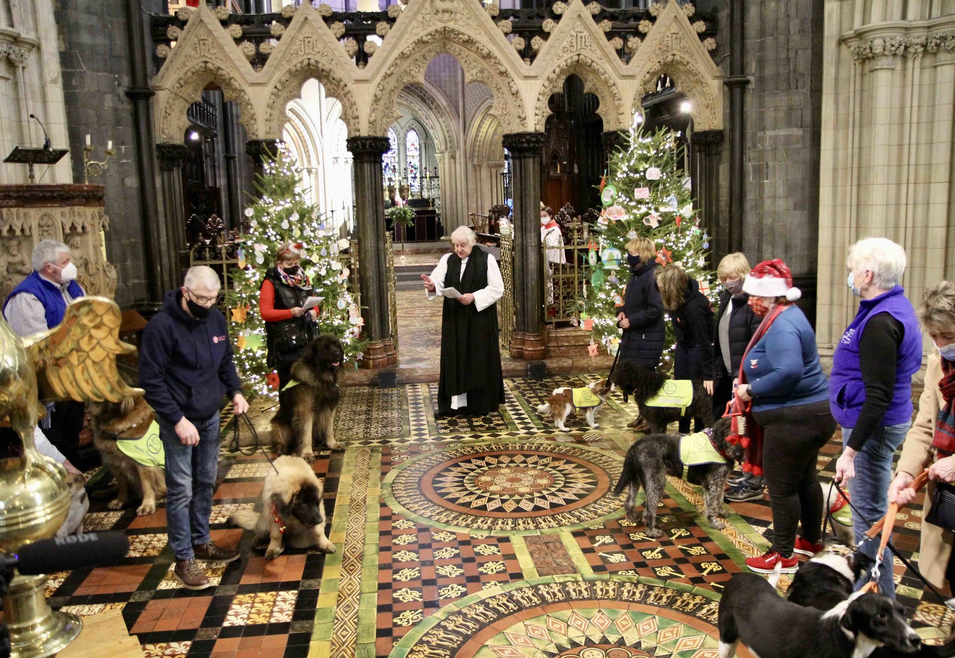 Barks ring out for Christmas as Peata Carol Service returns