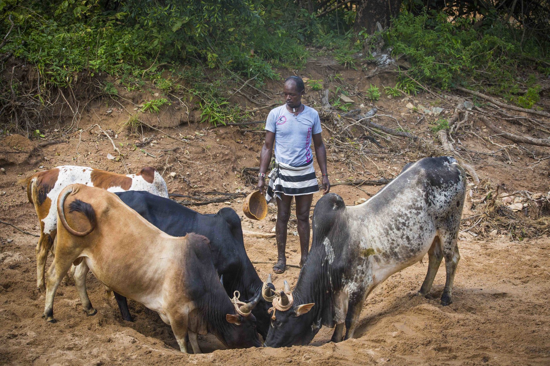 Christian Aid Christmas appeal - Climate change brings drought and hunger to Ethiopia. But your love brings hope.