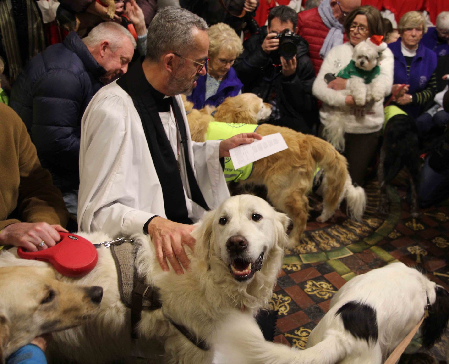 We Woof You a Merry Christmas – Therapy Dog Carol Service Celebrates the Canine Carers