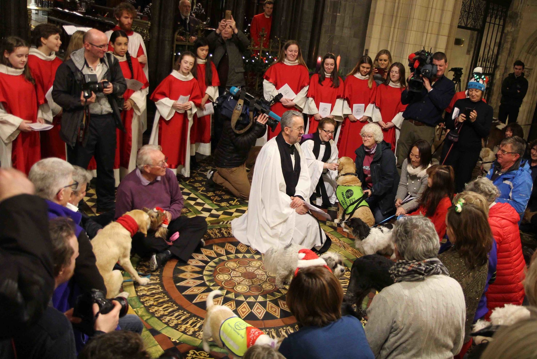 Canine Carolers on Best Behaviour for Peata Christmas Service 