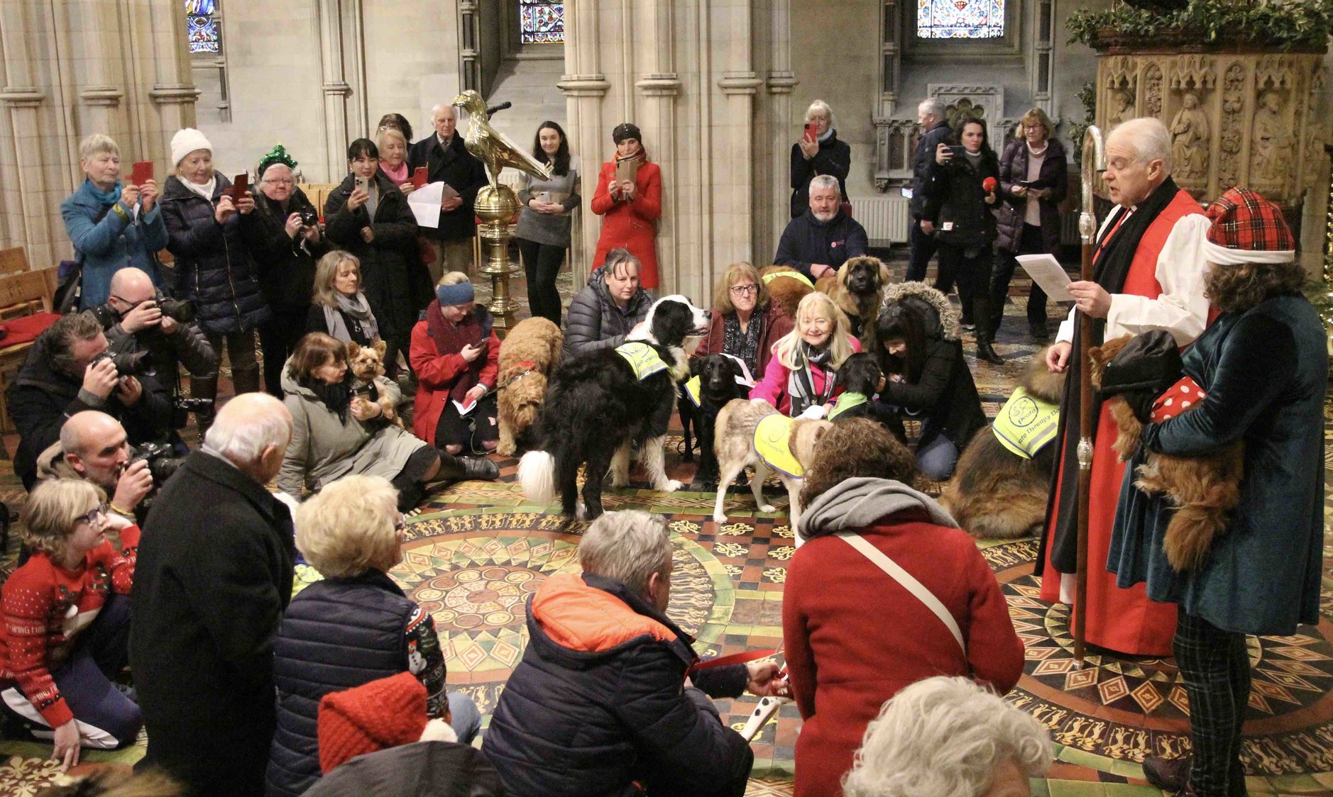 Bark! The Herald Angels Sing – Dogs enjoy the First Howell at Peata Carol Service