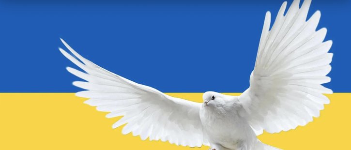 Concert for Ukraine in St Patrick’s Cathedral - Image