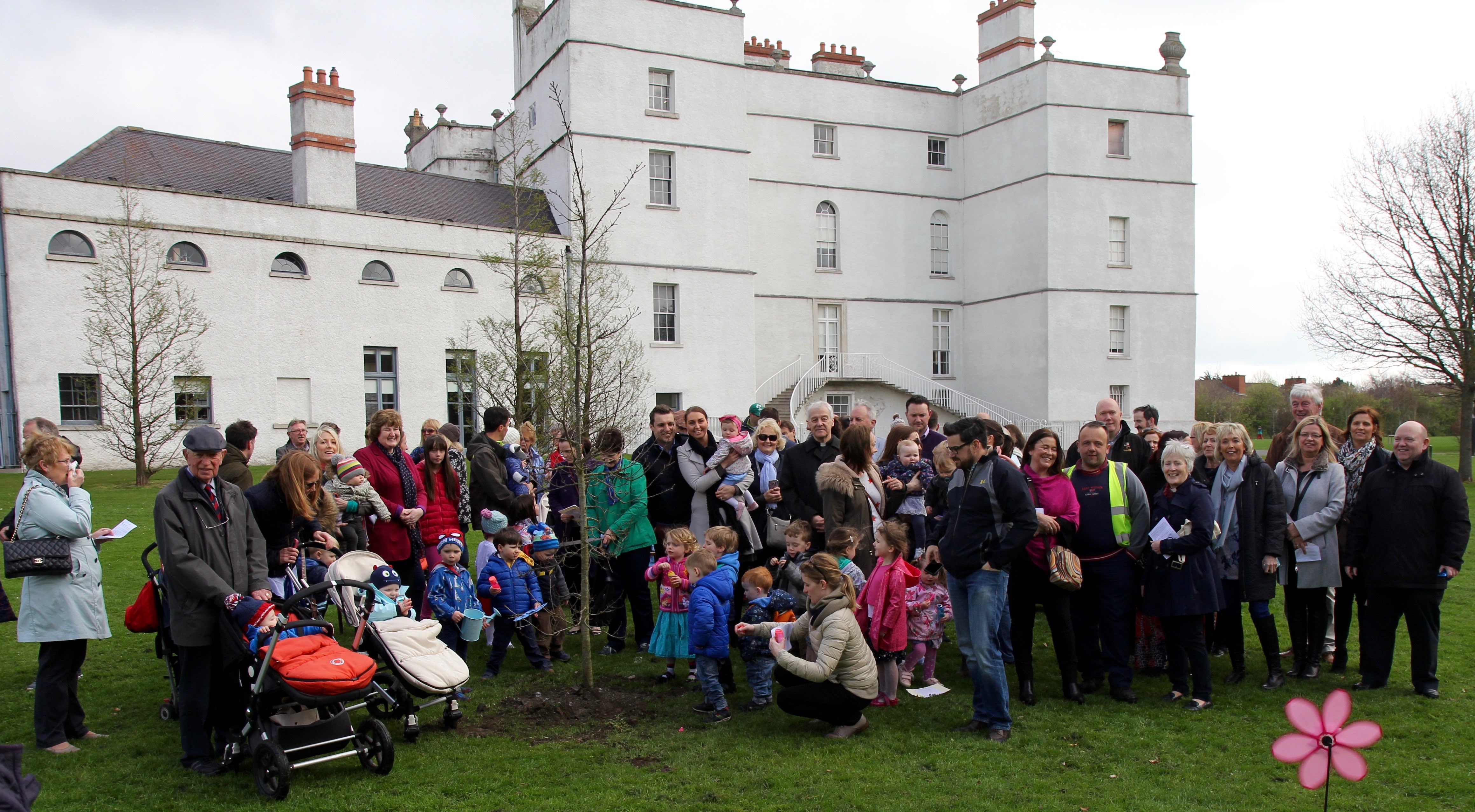 Rathfarnham Baptism Tree to Remind Parishioners of their Spiritual