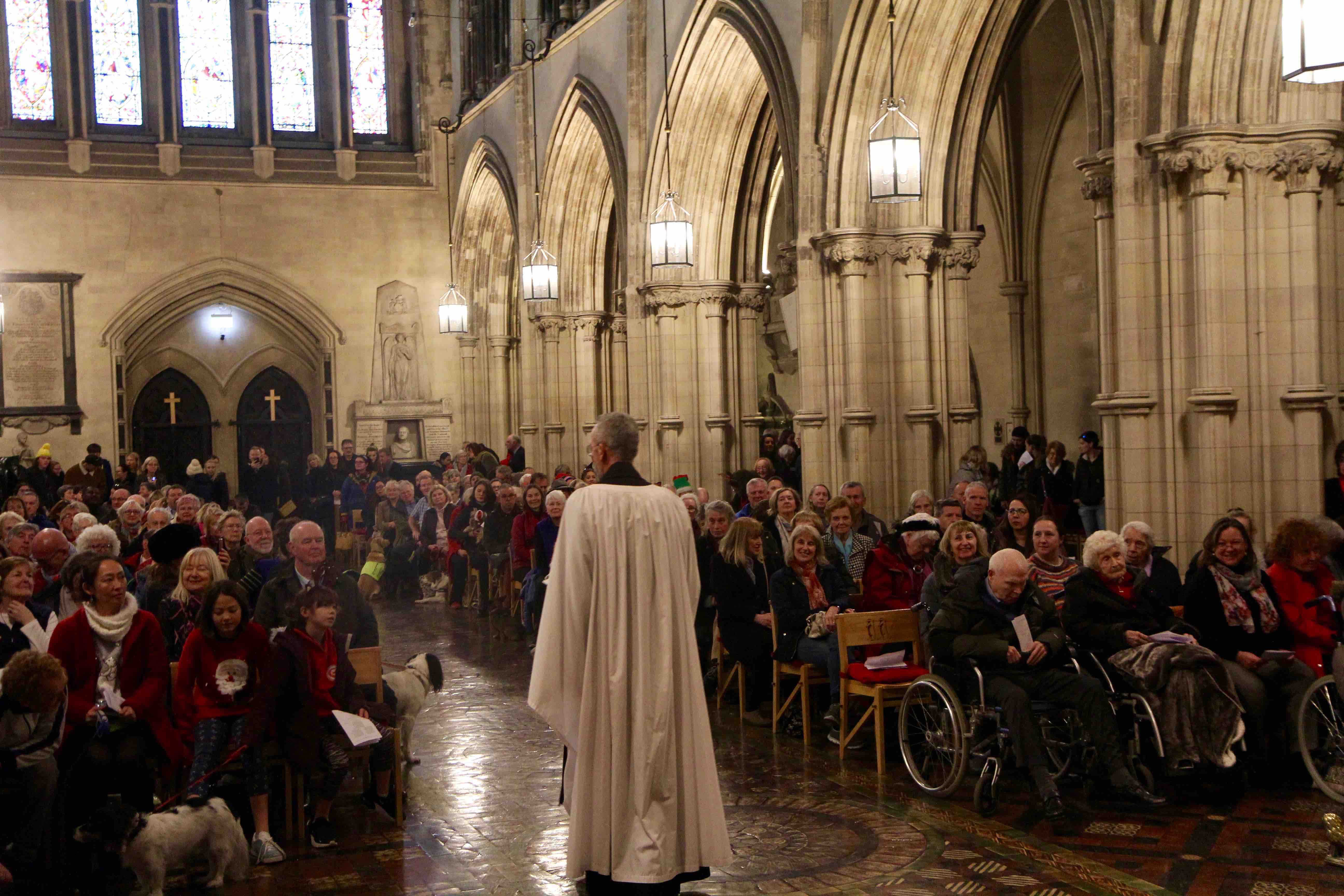 The Peata Therapy Dog Carol Service in Christ Church Cathedral.