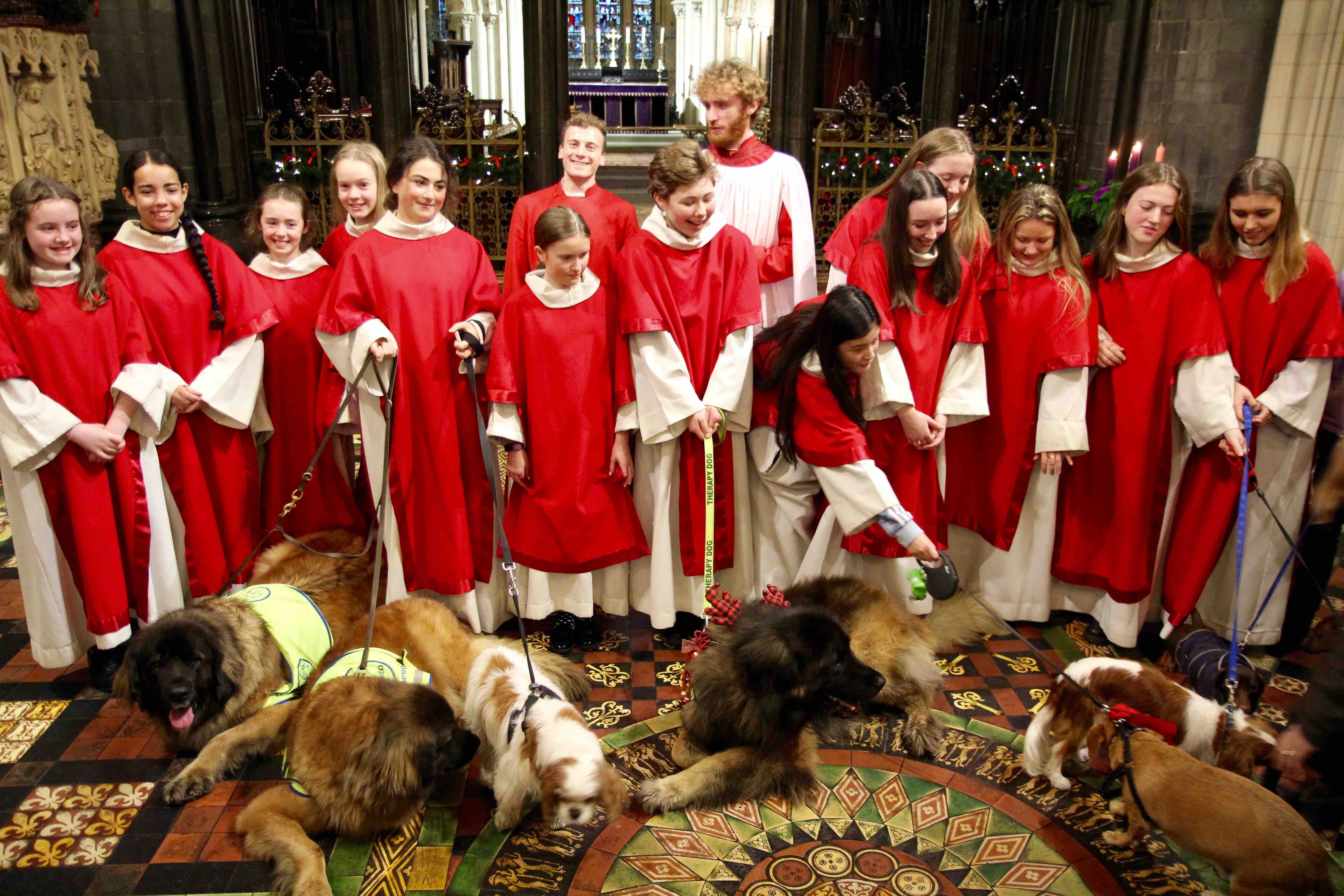 The Girls' Choir of Christ Church Cathedral with just some of the dogs attending the Peata Carol Service.