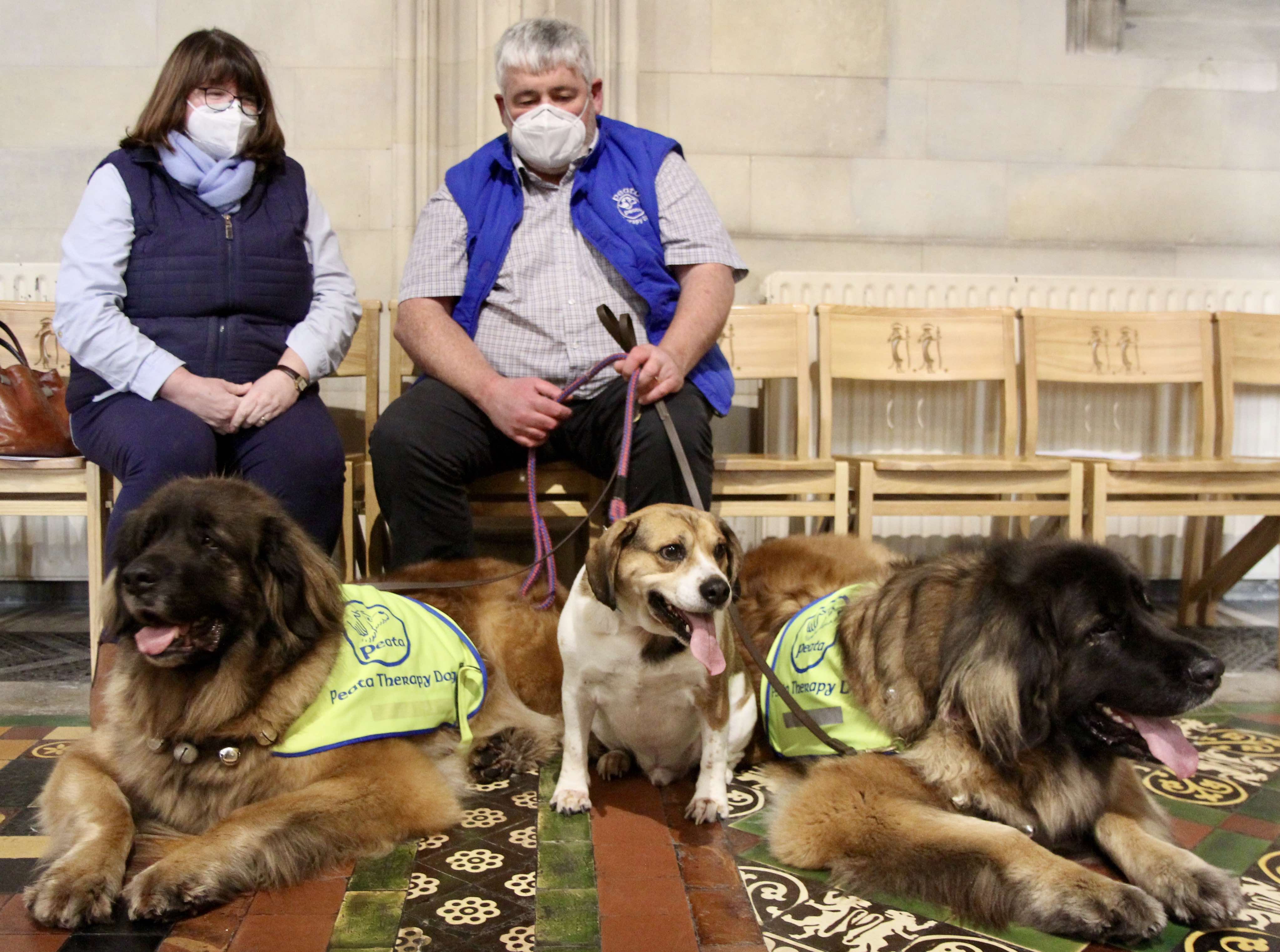 Lani, Benny and Elli at the Peata Therapy Dog Carol Service in Christ Church Cathedral with Ruth Higgins and Joe Tracey.