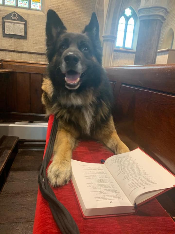 Even the dogs are welcome in SJB Clontarf- all God's creatures got a place in the choir!