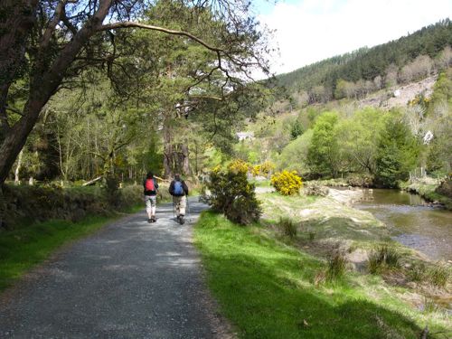 Camino de Glendalough